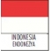 ENDONEZYA